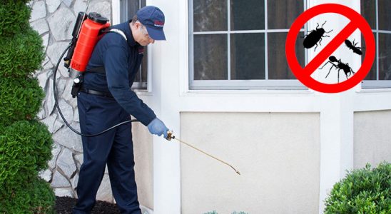 Kozan Gümüşkurt İlaçlama böcek ilaçlama ve haşere kontrolü — ilaclama-tr.com